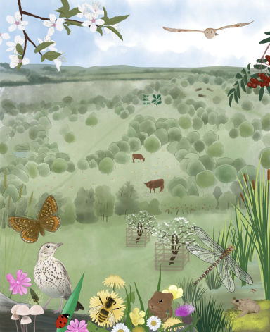 Woodland Creation Sign for the National Trust 2026